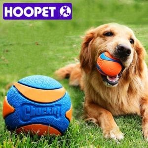 Chewable ball and game for the dog