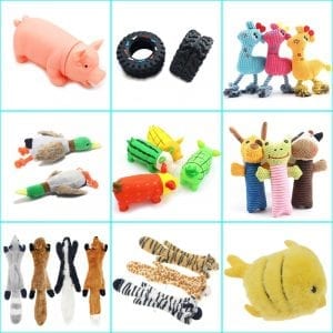 A pig toy shouts at a click to play for a dog