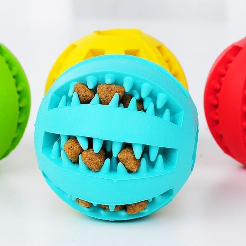 A game ball for the dog to keep the teeth and enjoy