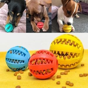 A game ball for the dog to keep the teeth and enjoy