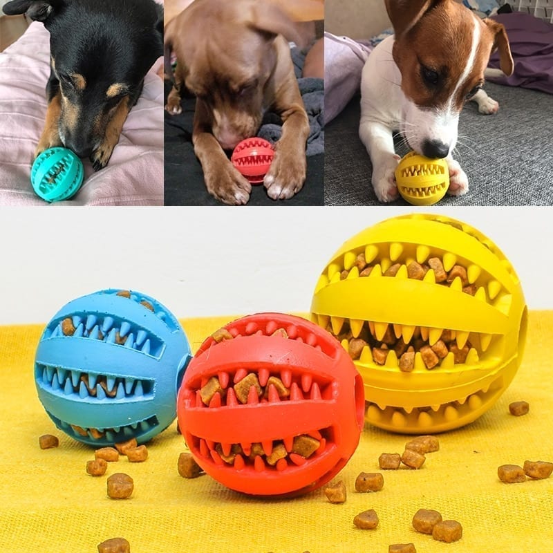 A game ball for the dog to keep the teeth and enjoy