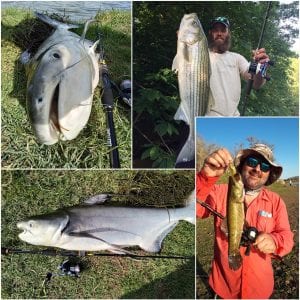 Goture Xceed Spinning Casting Carbon, Fishing Rod 3.0M 2.7M 2.4M 2.1M 1.98M, Light, 4 Sections, Portable Bag