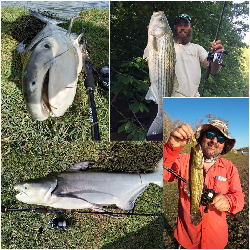 Goture xceed spinning casting carbon, fishing rod 3.0m 2.7m 2.4m 2.1m 1.98m, light, 4 sections, portable bag
