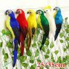 25/35cm handmade simulation parrot