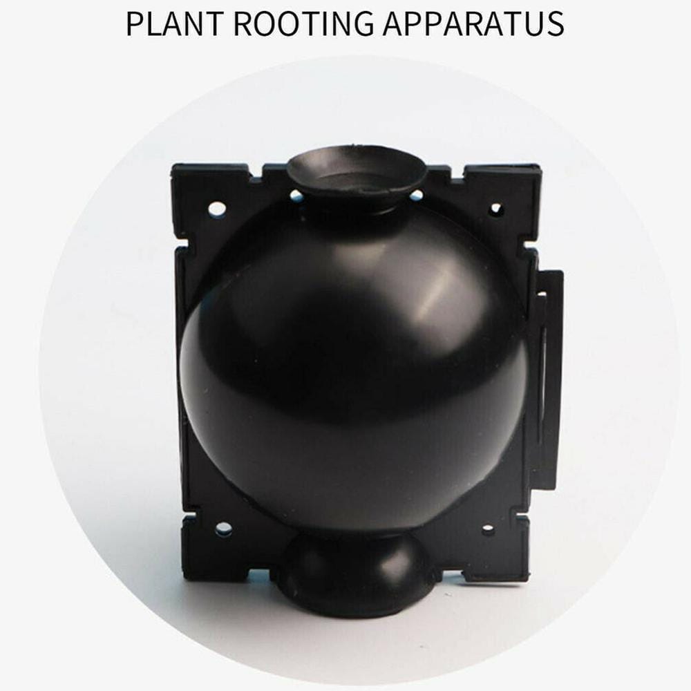 5pcs plant rooting ball, growing box, 5/8cm in diameter.