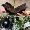 5pcs plant rooting ball, growing box, 5/8cm in diameter.