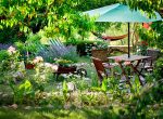10 tips for creating a stunning backyard garden: from plant selection to maintenance