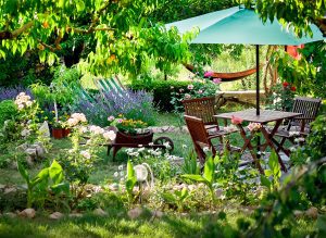 10 tips for creating a stunning backyard garden: from plant selection to maintenance