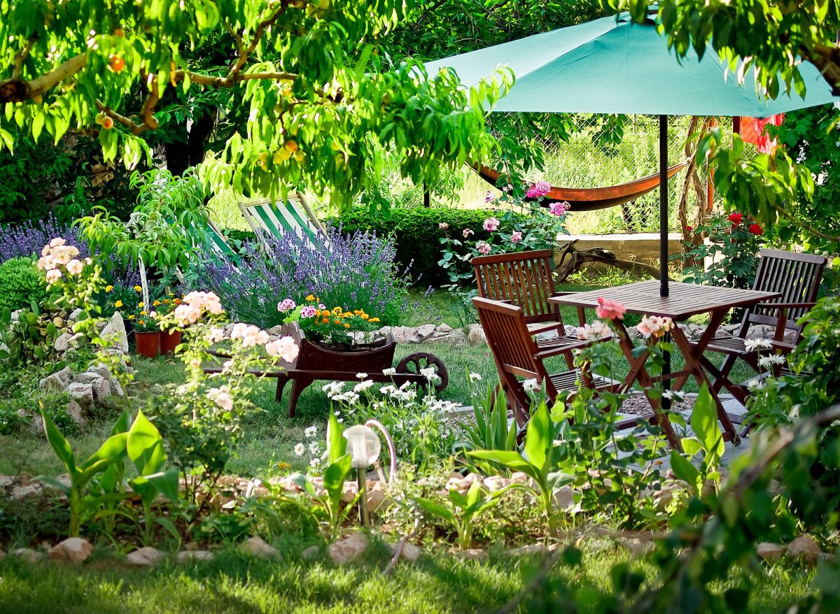 10 tips for creating a stunning backyard garden: from plant selection to maintenance