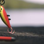 Exploring the Best Fishing Baits for Different Types of Fish and Fishing Conditions