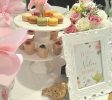 Over The Top Events & Parties