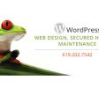 Tiny Frog Technologies