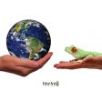 Tiny Frog Technologies