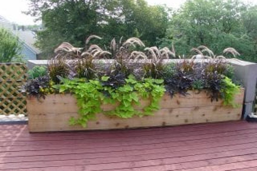 Gary’s Finer Landscapes