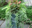 Gary’s Finer Landscapes