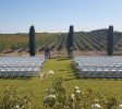 The Event Planner