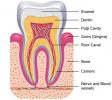 Infantino Dental Los Gatos