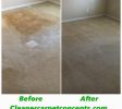 professional carpet cleaning Concord