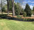 backyard landscaping near me