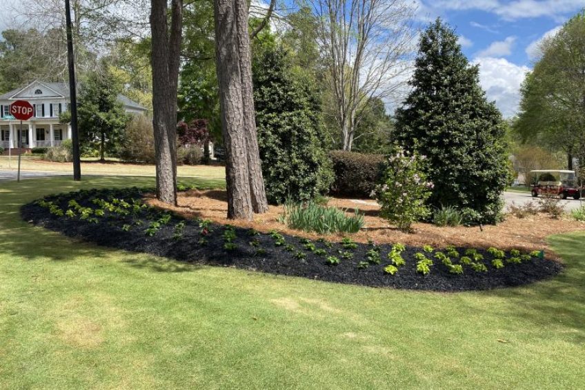 backyard landscaping near me