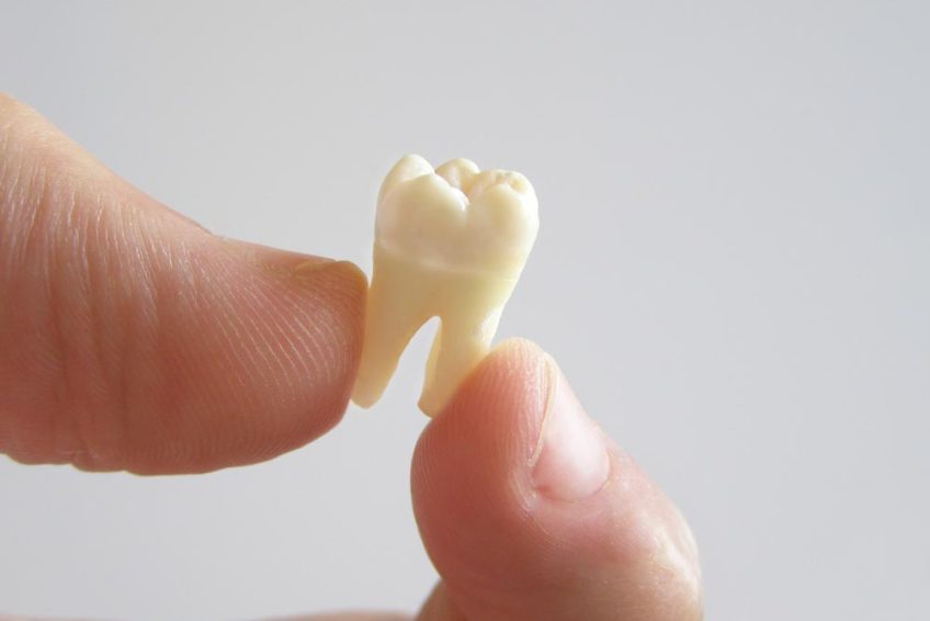 Chico California Dentists