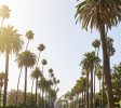 long beach property management