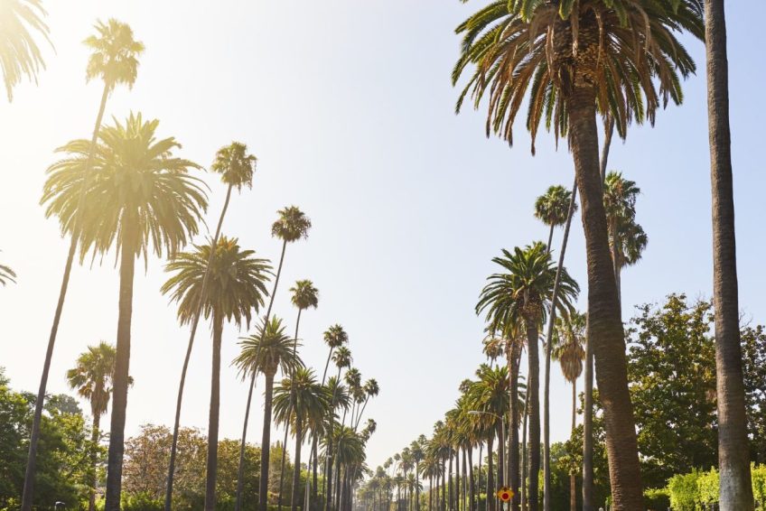 long beach property management
