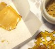 Cannabis