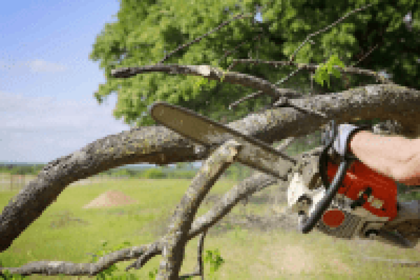 Fellers Tree Service (-)