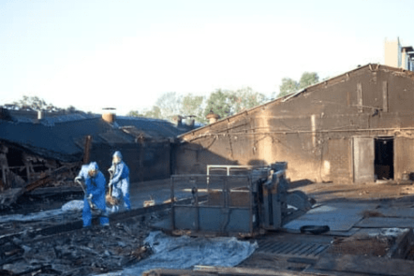 Fire-Cleanup