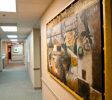 primary care physician charlotte nc