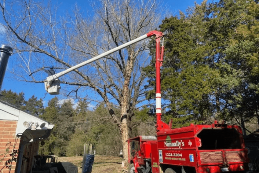 Nunnally-s Tree Service (-)