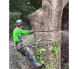 Nunnally-s Tree Service (-)