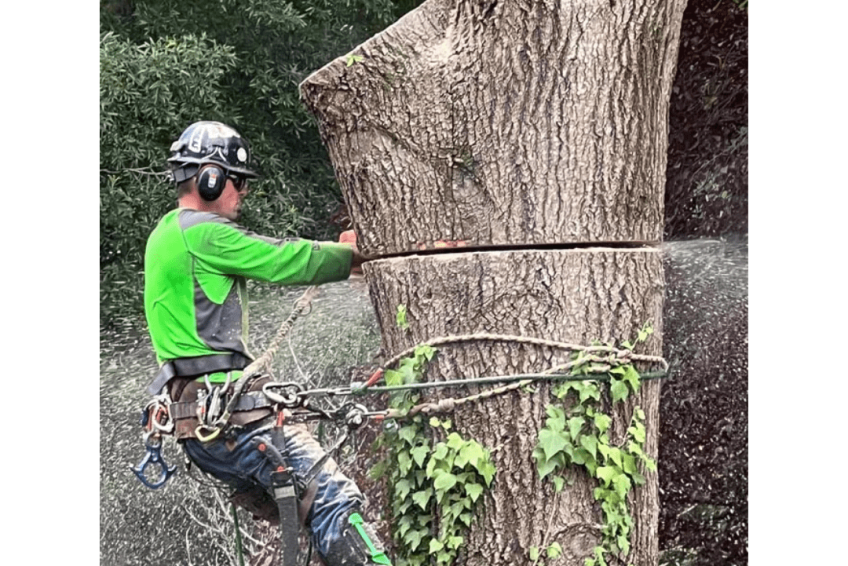 Nunnally-s Tree Service (-)