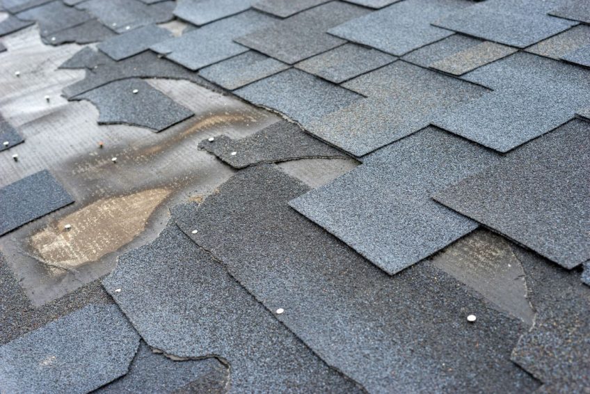 Roof Contractor