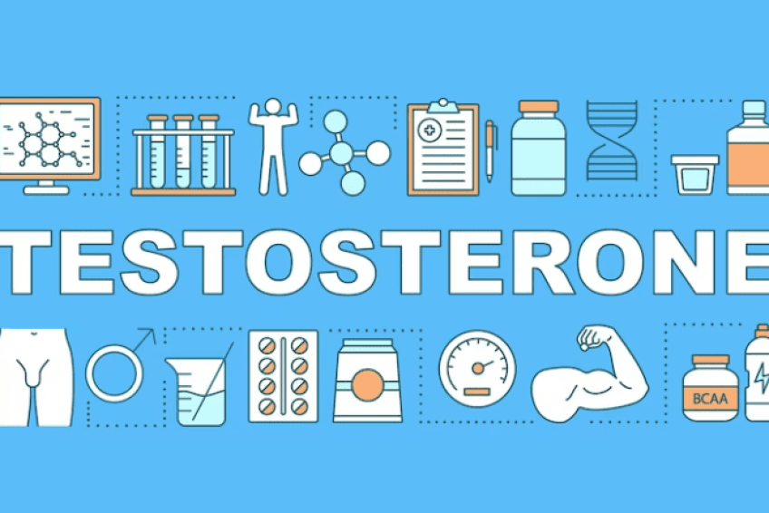 Testosterone