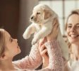 puppy training