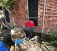 drainage repair near me