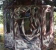 Deer Hunting Windows - Doors