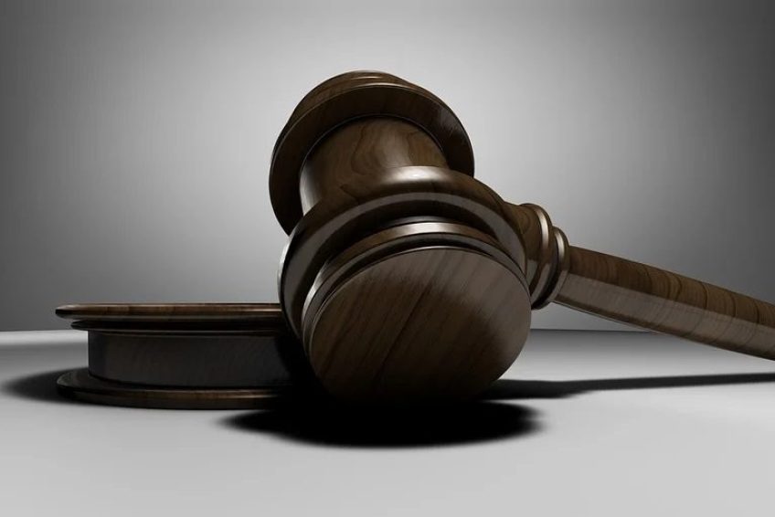 Estate Planning Lawyer Lake Elmo MN