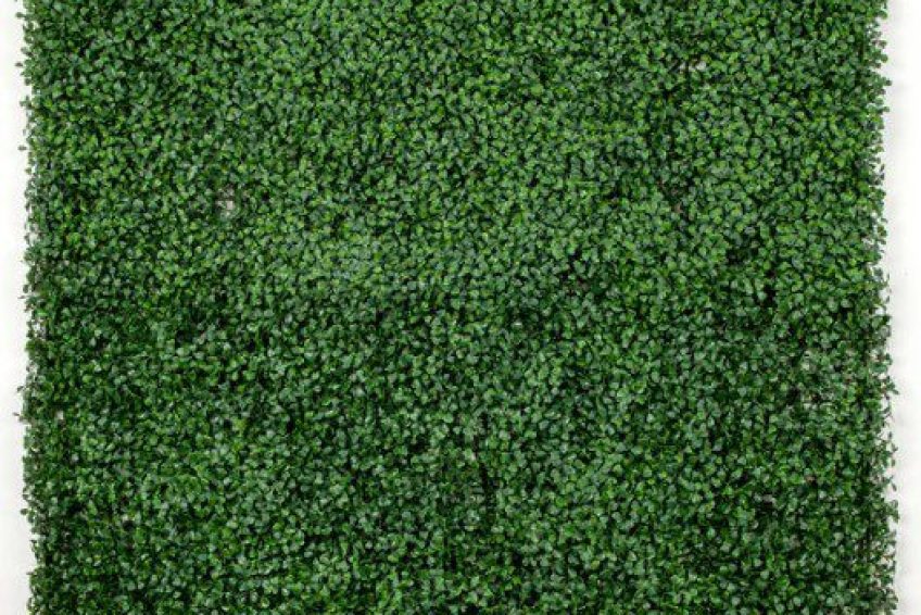 sample-panel-of-premium-dark-artificial-boxwood-wall