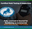 Mold Inspector