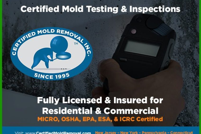 Mold Inspector