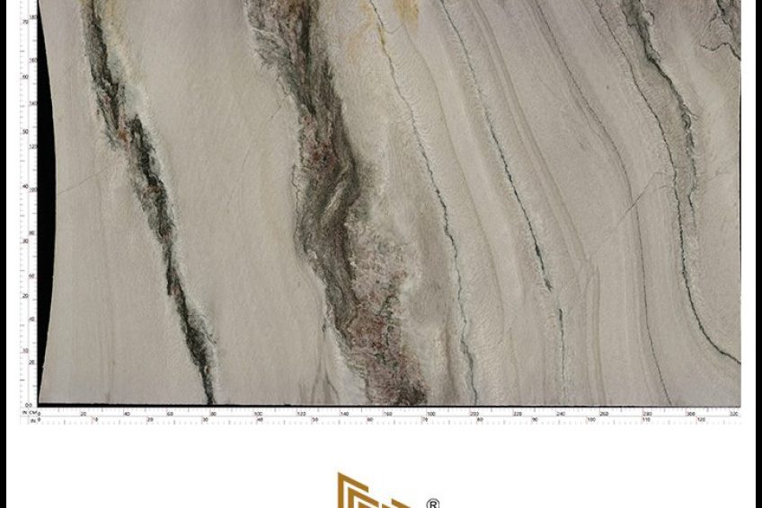 .jpg