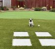 Artificial Grass Installation Henderson