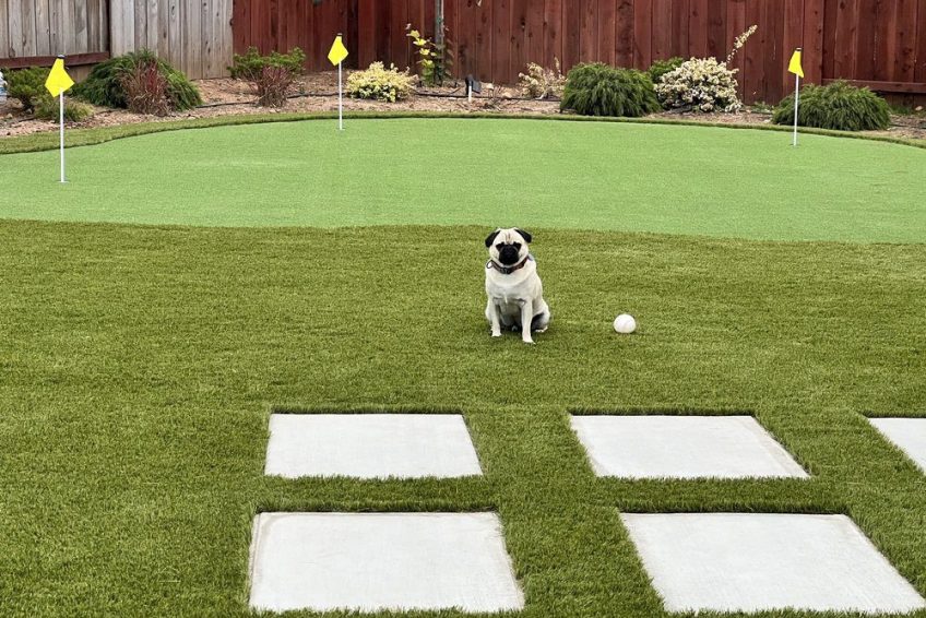 Artificial Grass Installation Henderson