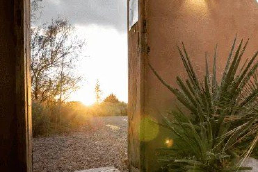 Cognitive Behavioral Therapy NM