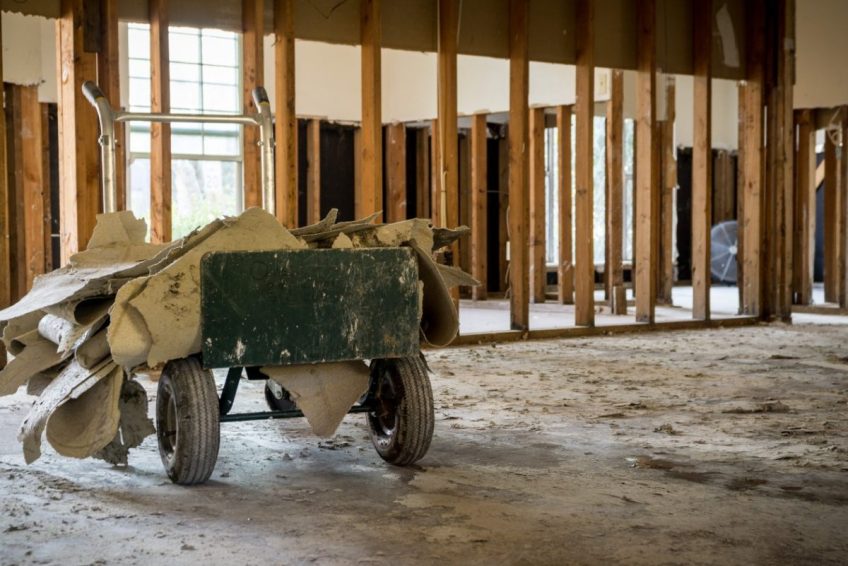 Mold Remediation CA