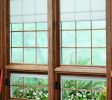 Window Replacement In Denver CO