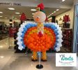 Balloon Decor Lutz